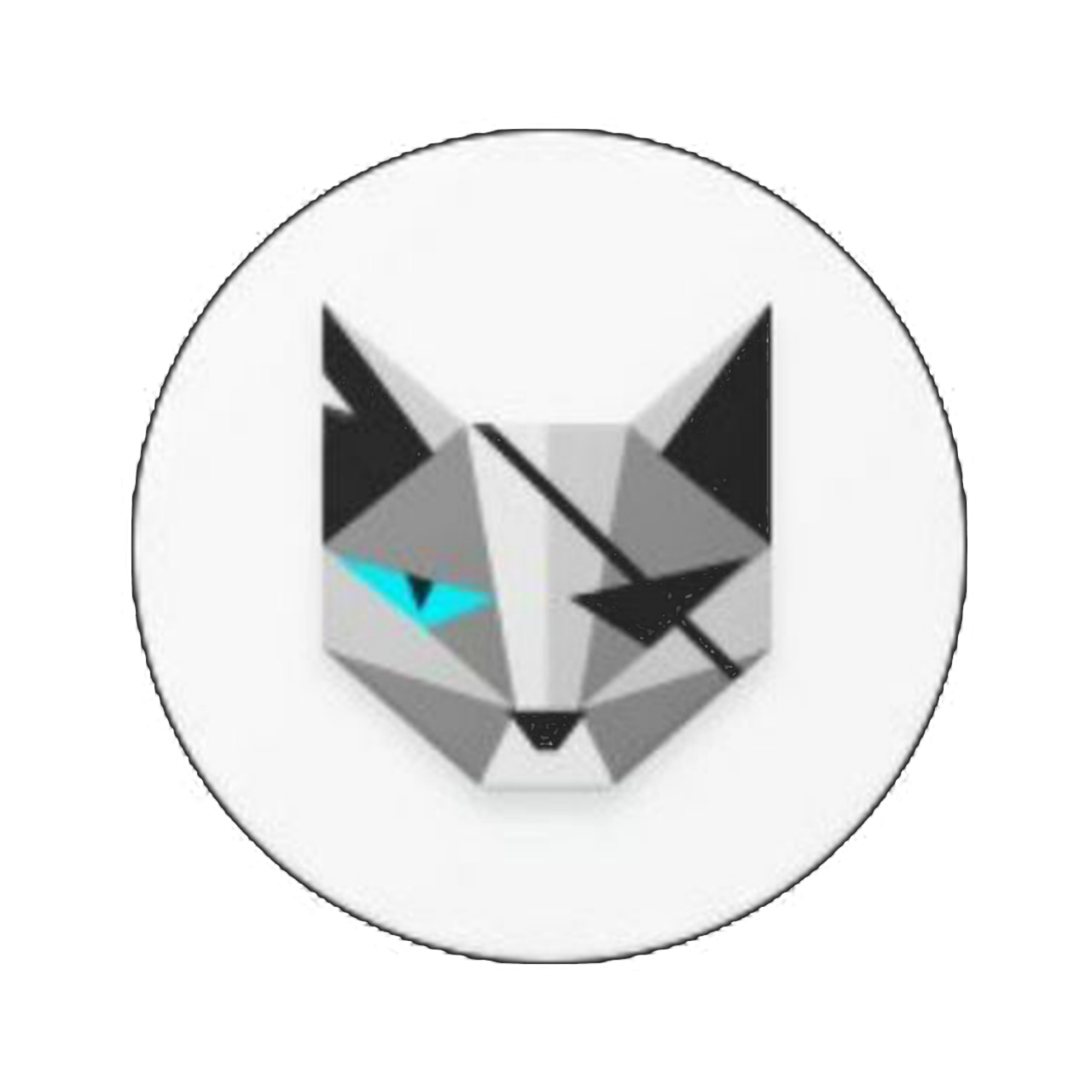 SaputraTech